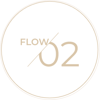 flow2